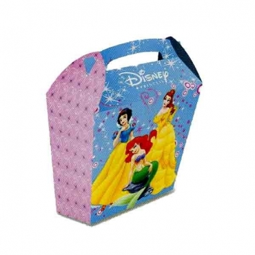 Boîte Princesses  Spirit 12X6X21