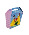 Caixa Princesas Spirit 12X6X21