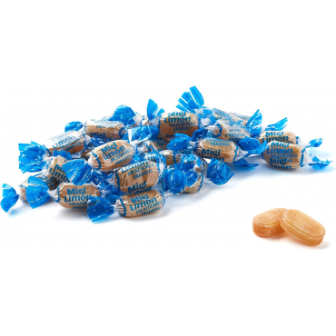 Zuckerfreie Honigbonbons mit Zitronengeschmack INTERVAN