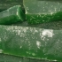 Abóbora Cristalizada Verde