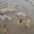 Torrone Noci Crema 300 gr.